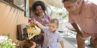 Focus on grandparents as child carers